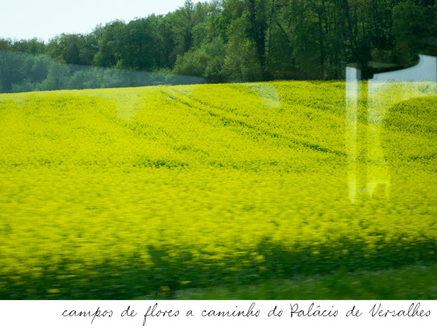 living-gazette-barbara-resende-viagem-primavera-flores-paris-campos