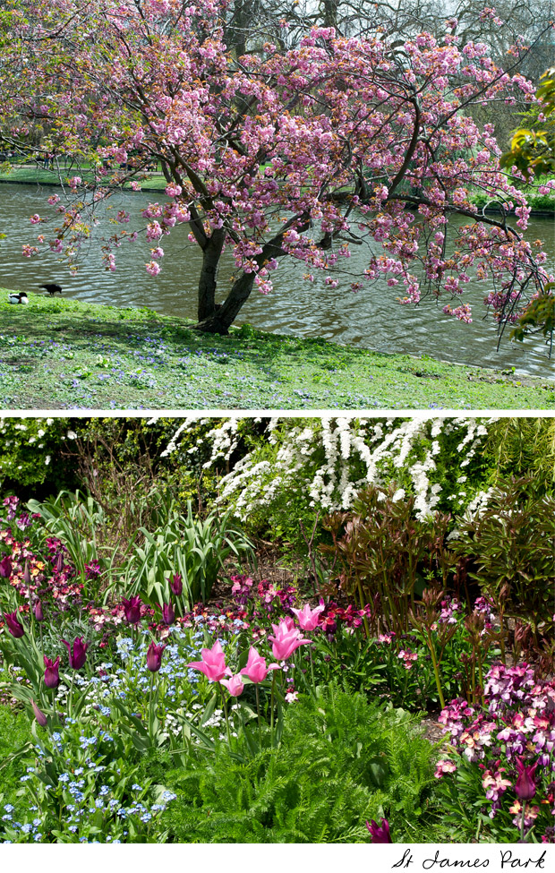 living-gazette-barbara-resende-viagem-primavera-flores-londres-st-james-park