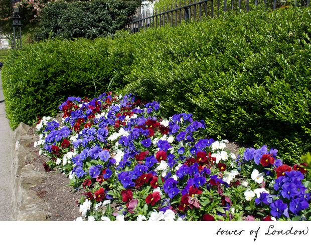 living-gazette-barbara-resende-viagem-primavera-flores-londres-tower-of-london