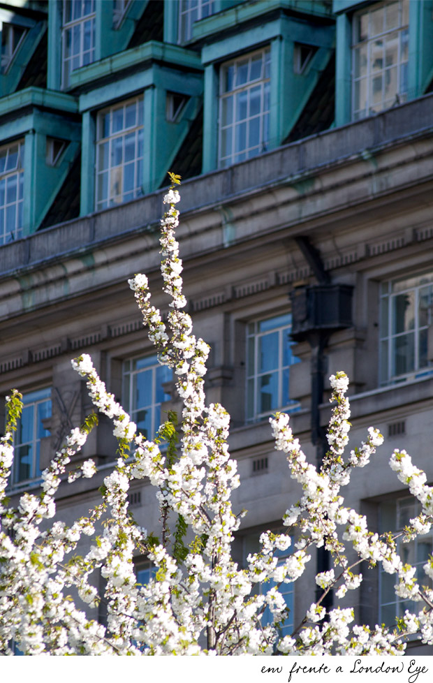 living-gazette-barbara-resende-viagem-primavera-flores-londres-london-eye