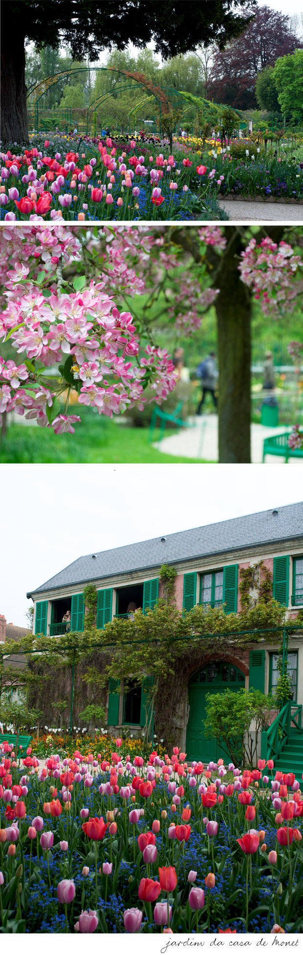 living-gazette-barbara-resende-viagem-primavera-flores-paris-giverny-casa-monet